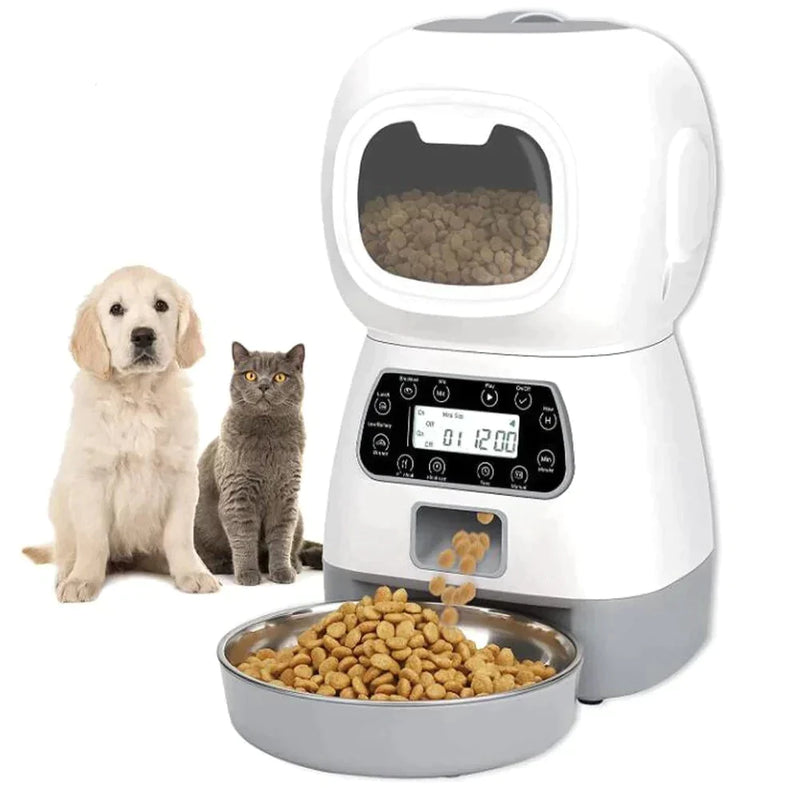 Alimentador Automático para Cães e Gatos - Caap Descontos