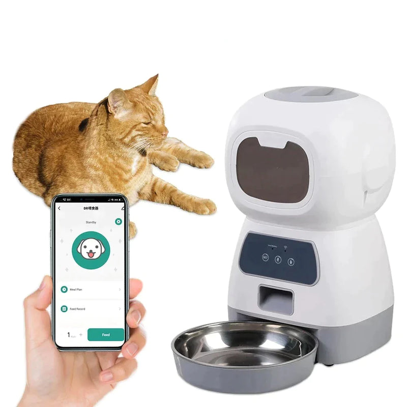 Alimentador Automático para Cães e Gatos - Caap Descontos